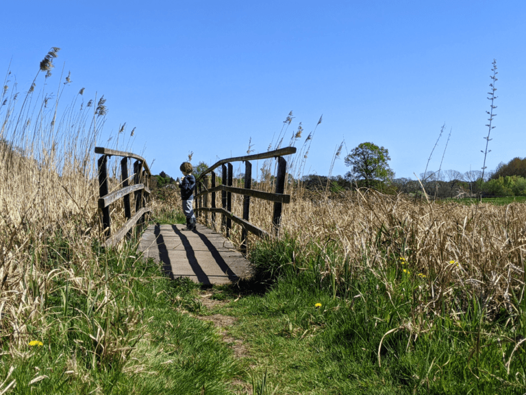 Wedding at Stoughton Grange Farm